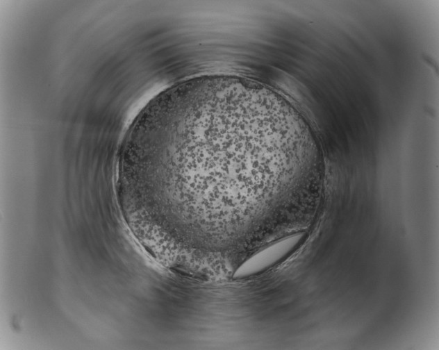 X0000099450804200805231740