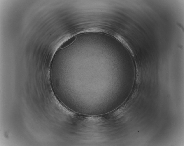 X0000099450805200805231740