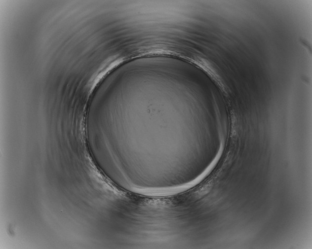 X0000099450806200805231740