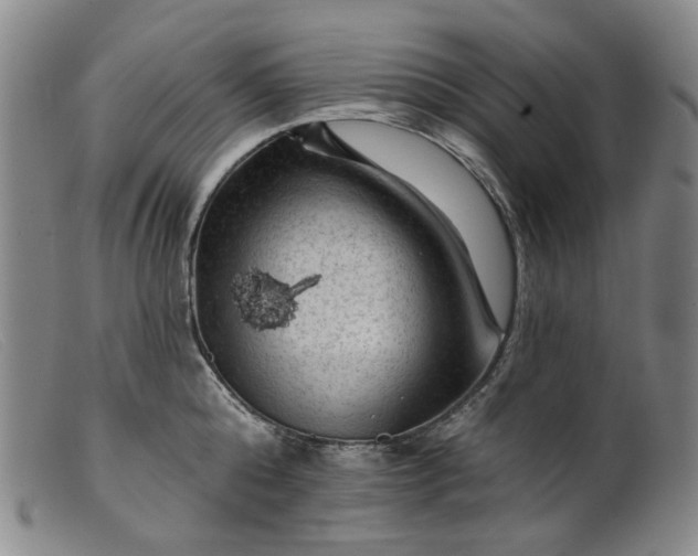 X0000099450808200805231740