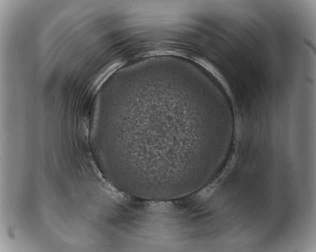 X0000099450809200805231740