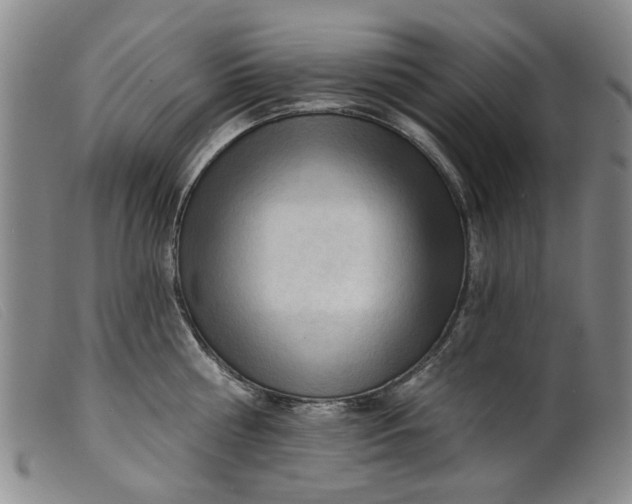 X0000099450810200805231740