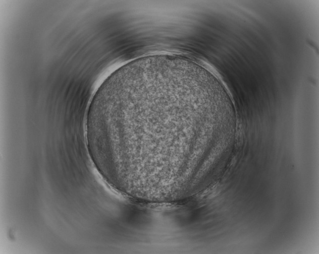 X0000099450811200805231740