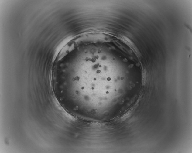 X0000099450812200805231740