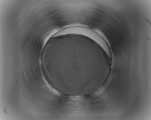 X0000099450813200805231740