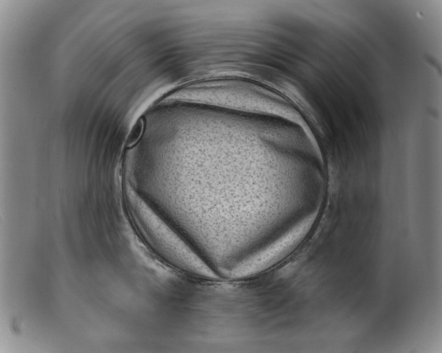 X0000099450814200805231740