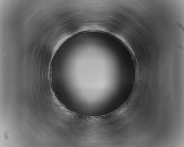 X0000099450815200805231740