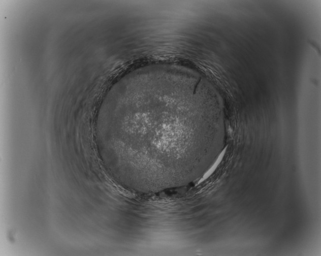 X0000099450817200805231739