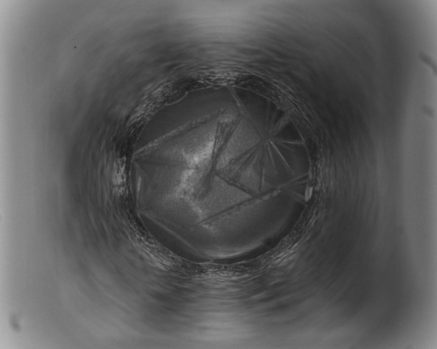 X0000099450818200805231739