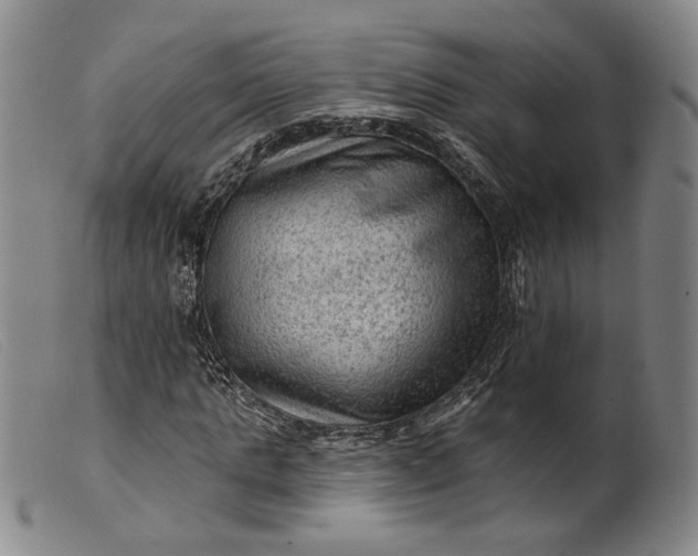 X0000099450821200805231739