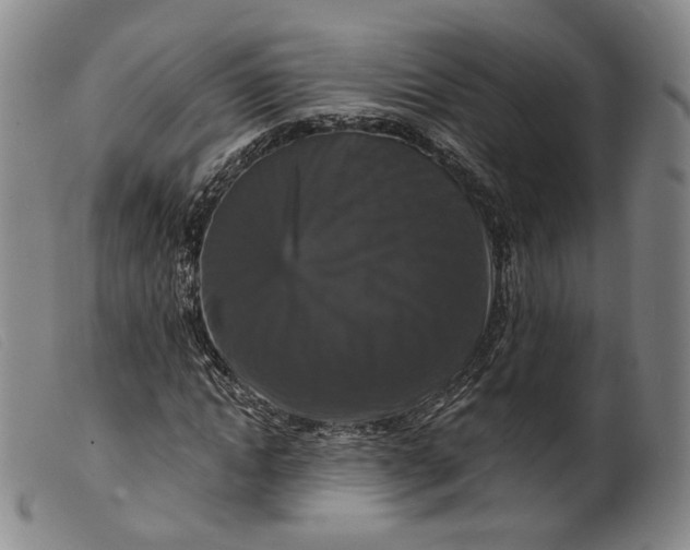 X0000099450822200805231739