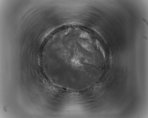 X0000099450823200805231739