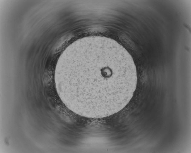 X0000099450824200805231739