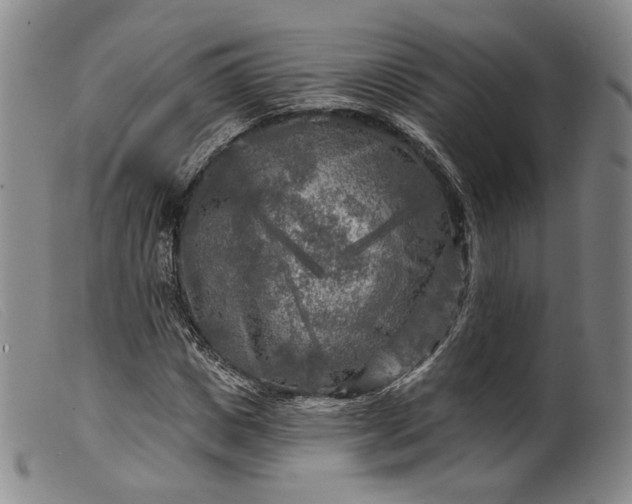 X0000099450825200805231739