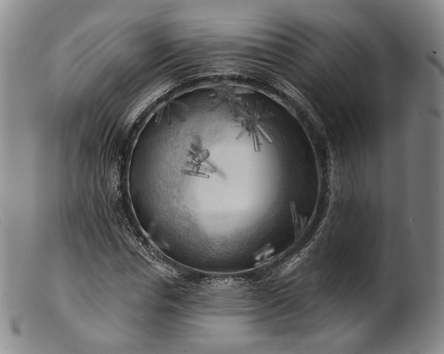 X0000099450826200805231739