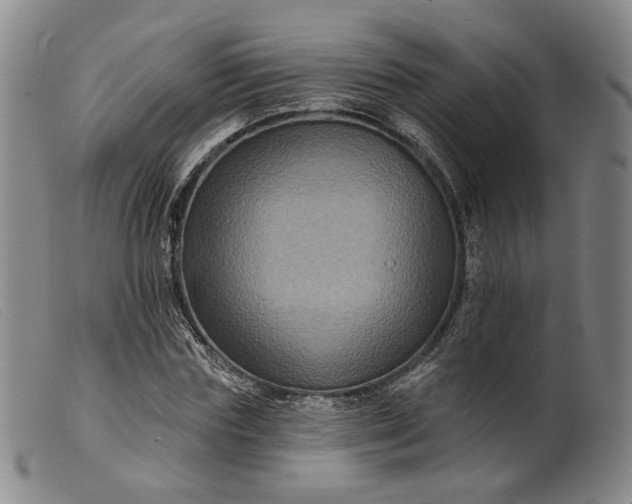 X0000099450827200805231739