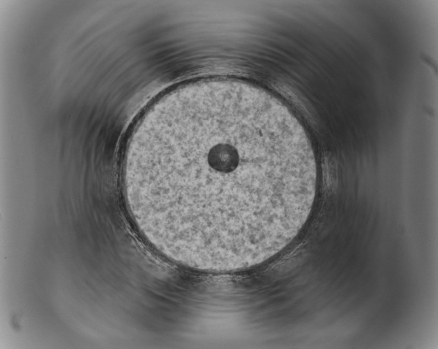 X0000099450828200805231739