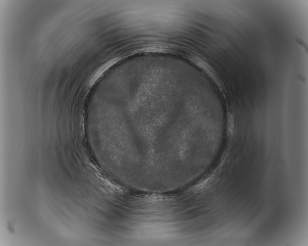 X0000099450829200805231739