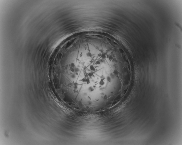 X0000099450830200805231739