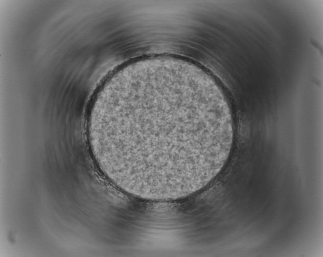 X0000099450832200805231739