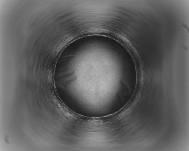 X0000099450833200805231739