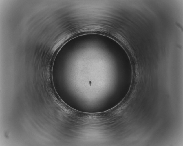 X0000099450834200805231739