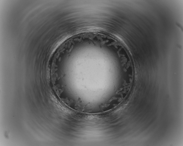 X0000099450835200805231739