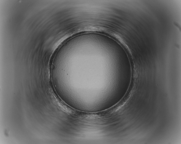 X0000099450837200805231739