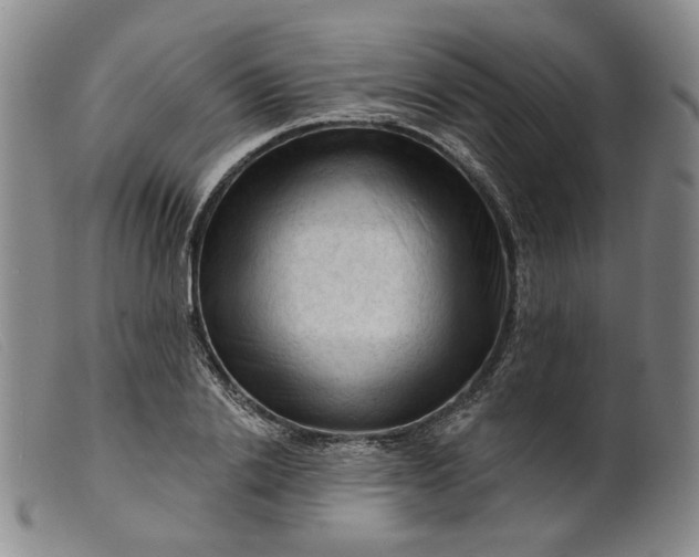 X0000099450838200805231739