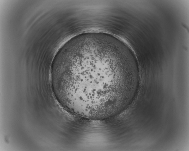 X0000099450839200805231739