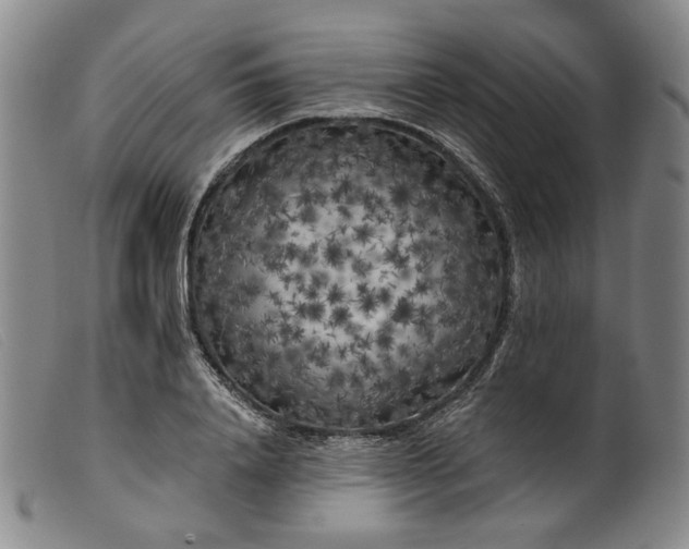 X0000099450840200805231739