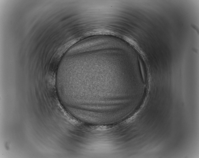 X0000099450841200805231739