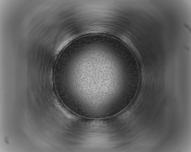 X0000099450842200805231739