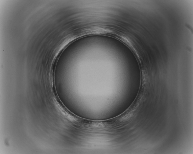 X0000099450843200805231739