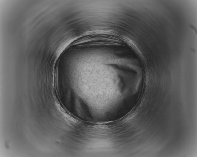 X0000099450844200805231739