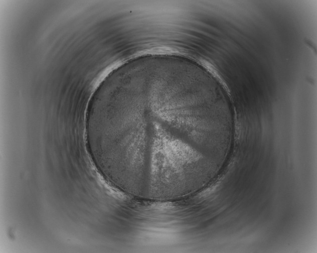 X0000099450845200805231739