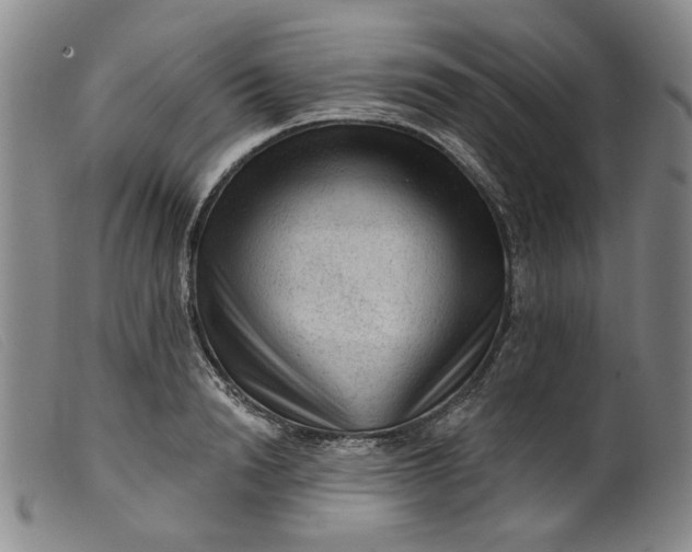 X0000099450846200805231739