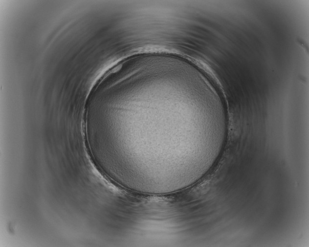 X0000099450847200805231739