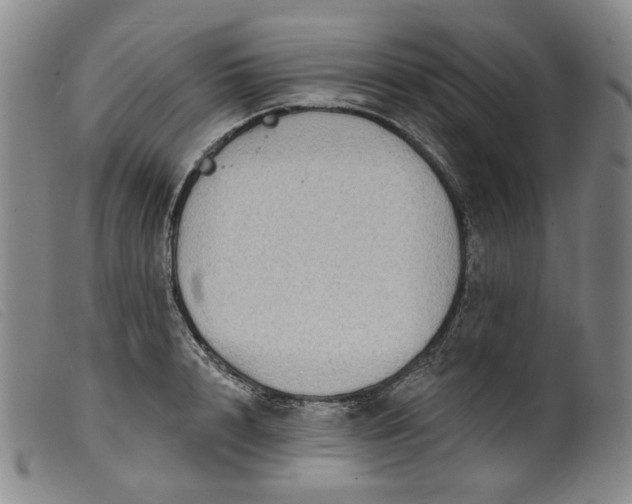 X0000099450848200805231740