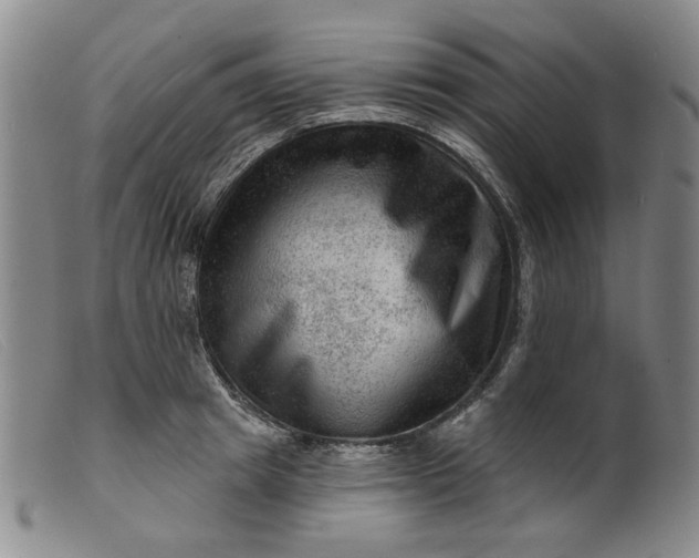 X0000099450849200805231740