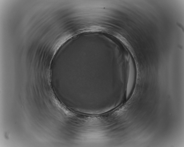 X0000099450850200805231740