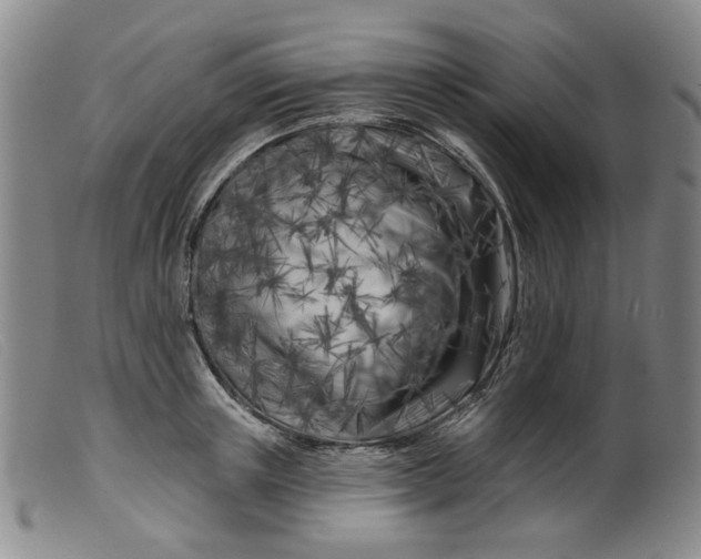 X0000099450851200805231740