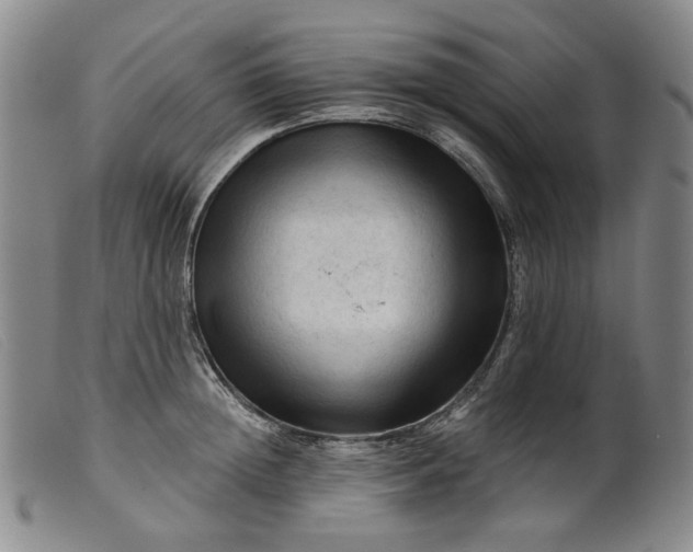 X0000099450852200805231740