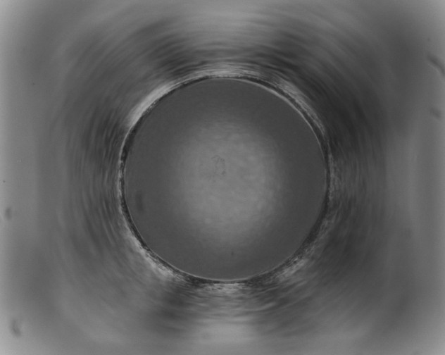 X0000099450853200805231740