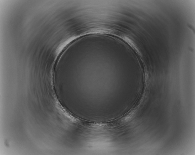 X0000099450854200805231740