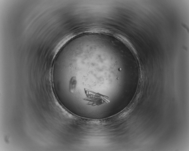 X0000099450855200805231740