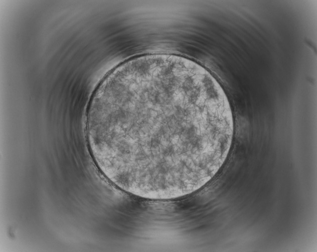 X0000099450856200805231740