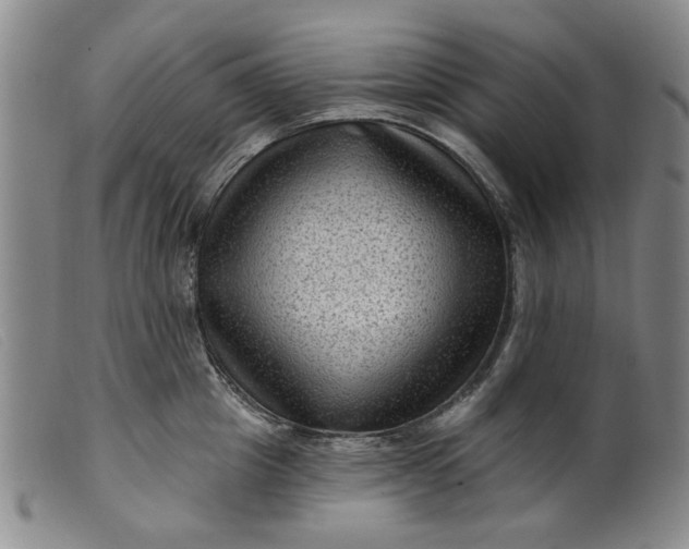 X0000099450857200805231740