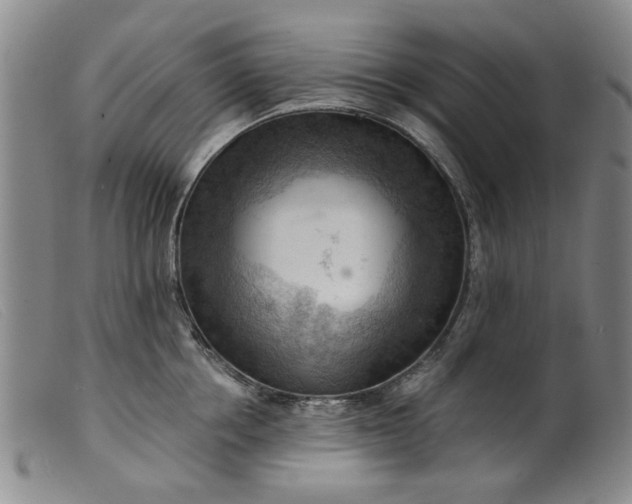 X0000099450858200805231740