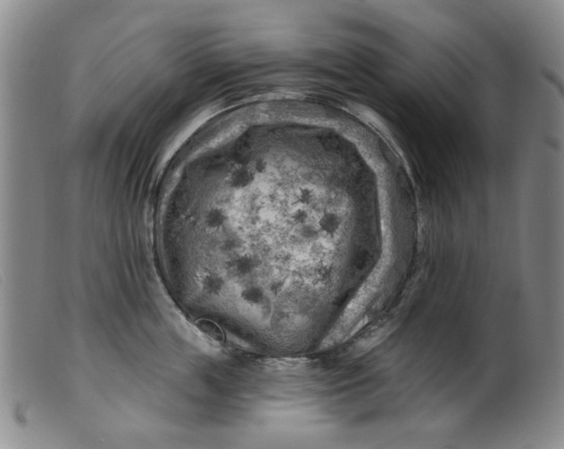 X0000099450859200805231740